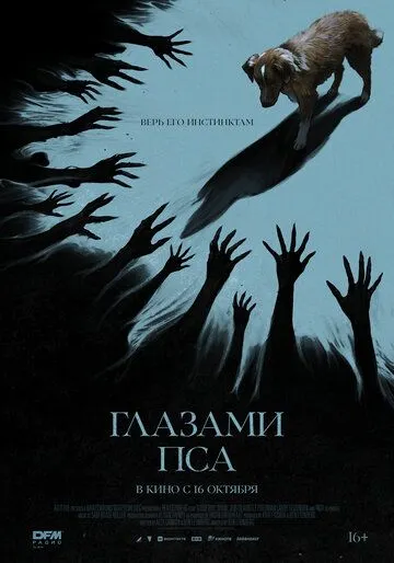 Глазами пса